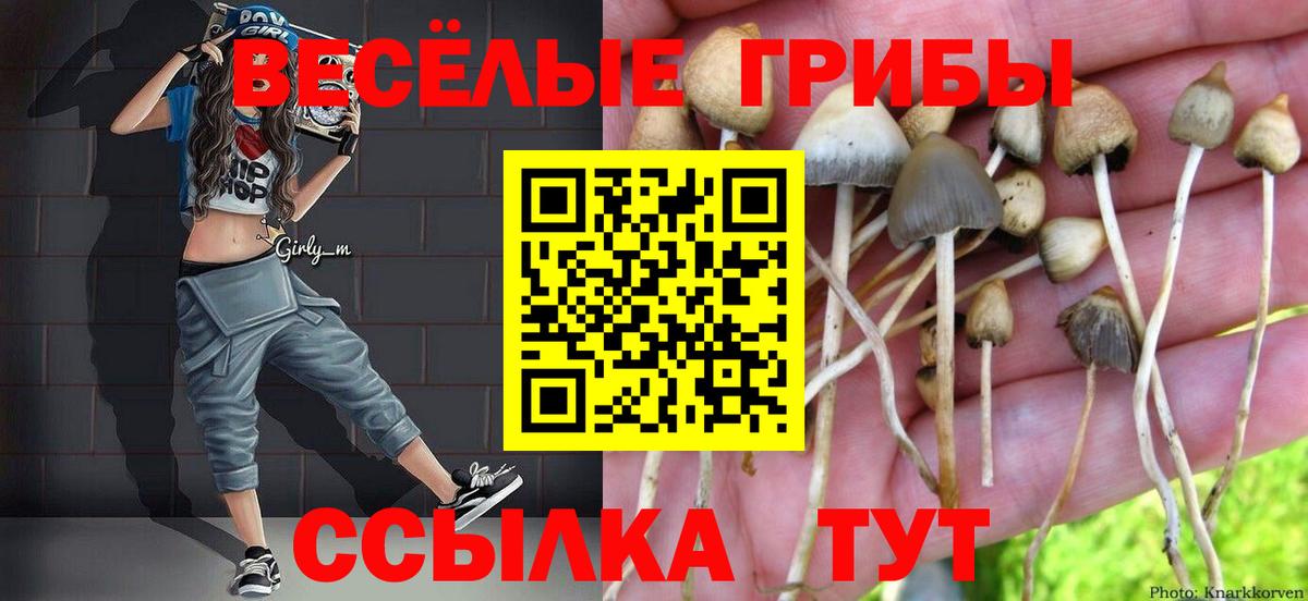 Псилоцибиновые грибы Magic Shrooms Рузаевка